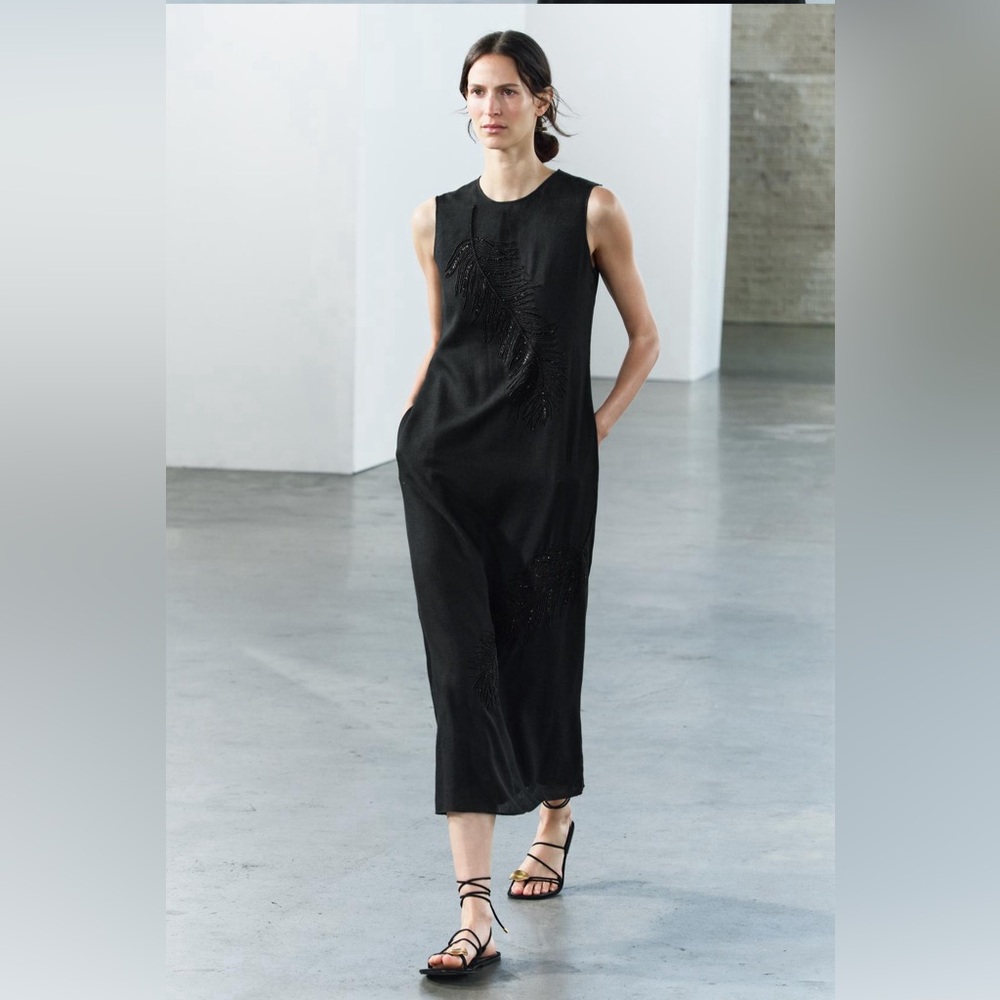 Zara Embroidered midi dress NWT